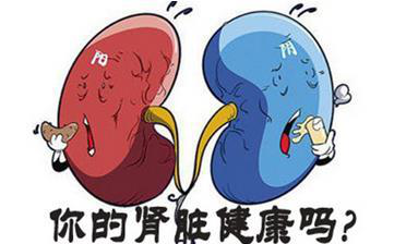 肾虚—男言之隐都有哪些症状表现呢