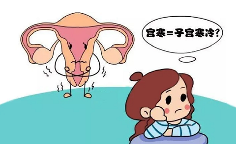 什么女人*容易引起宫寒呢？